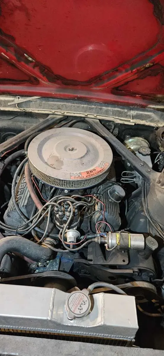 Ford Mustang 1965 photo 2