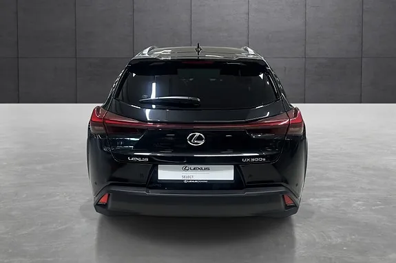 Lexus Ux300E 2025 photo 4
