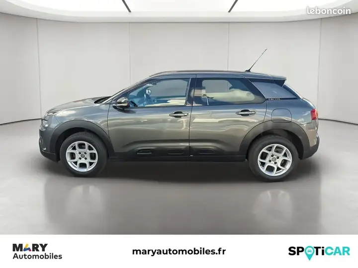Citroen C4 Cactus 2019 photo 2