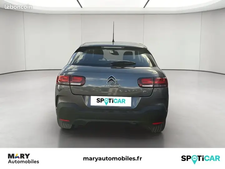 Citroen C4 Cactus 2019 photo 4