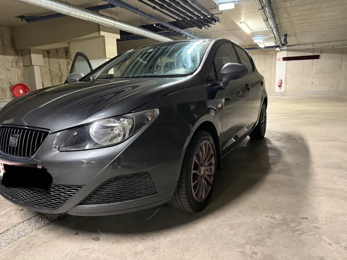 Seat Ibiza 2009 photo 2