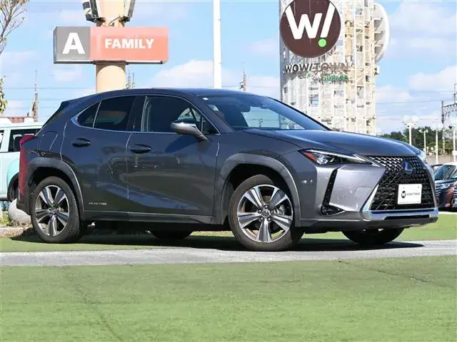 Lexus Ux300E