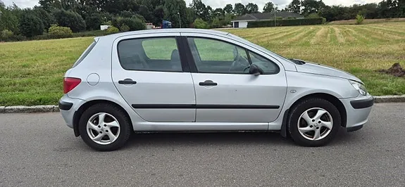 Peugeot 307 2002 photo 4