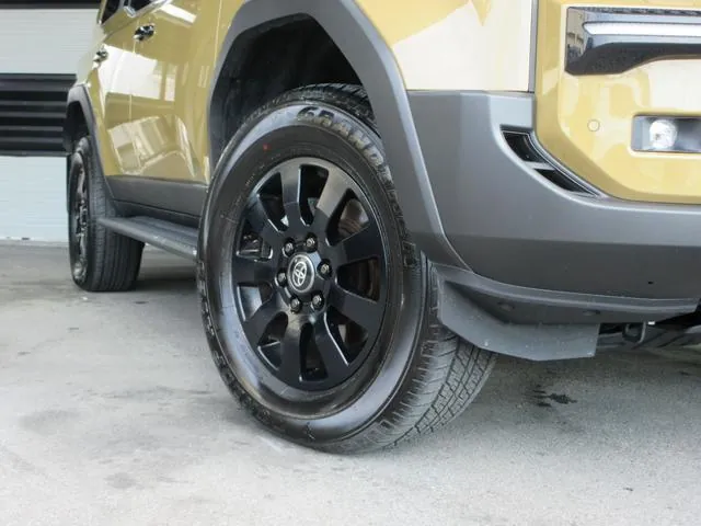 Toyota Land Cruiser 250 2024 photo 5