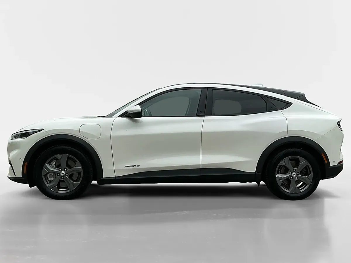 Ford Mustang Mach-E 2023 photo 2