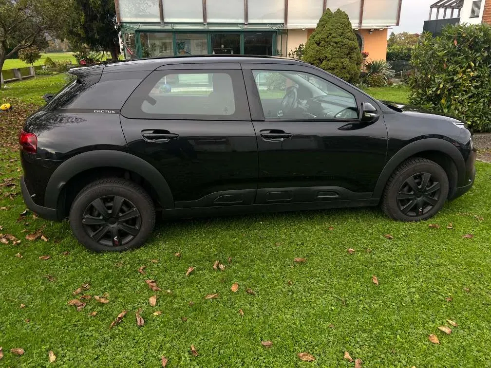 Citroen C4 Cactus 2018 photo 2