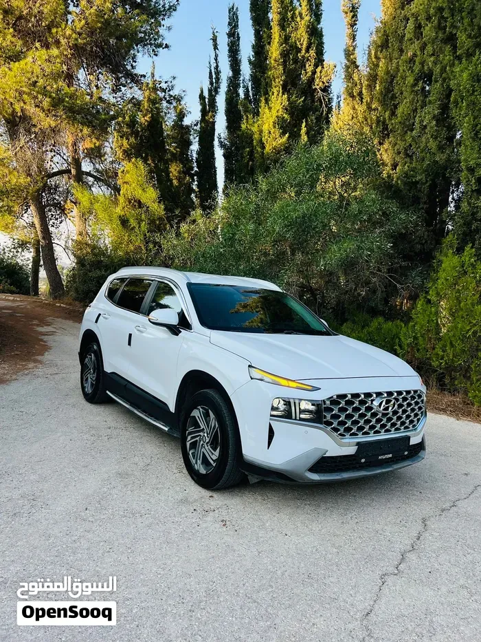 Hyundai Santa Fe 2021 photo 2