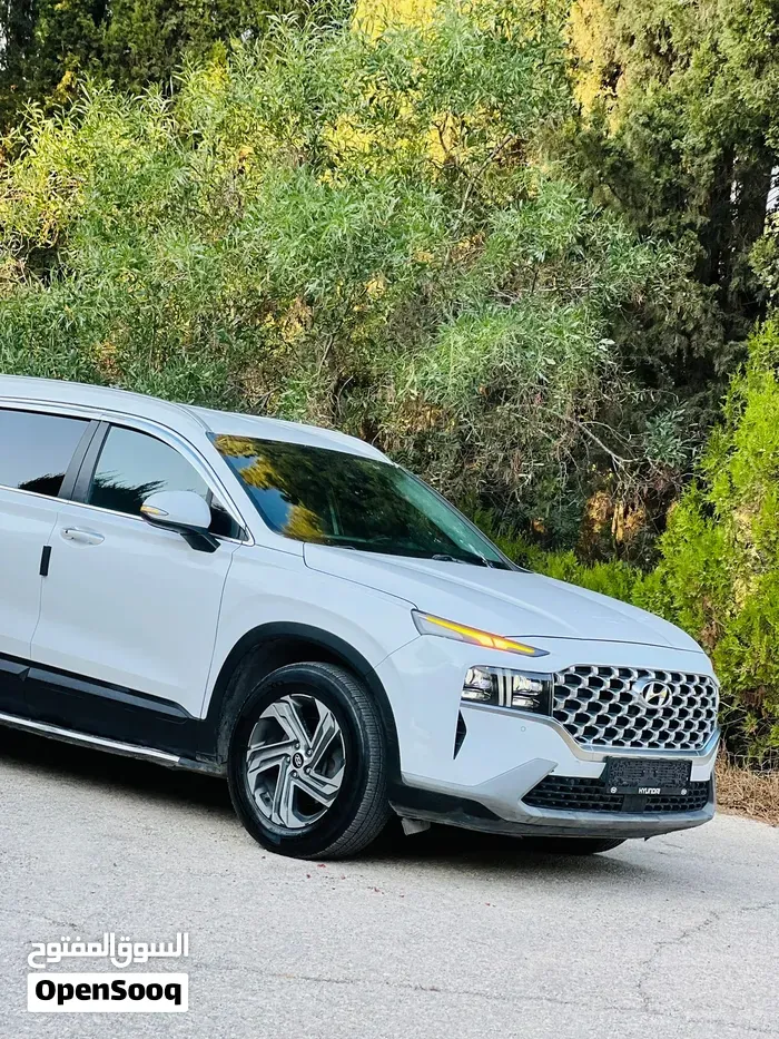 Hyundai Santa Fe 2021 photo 3