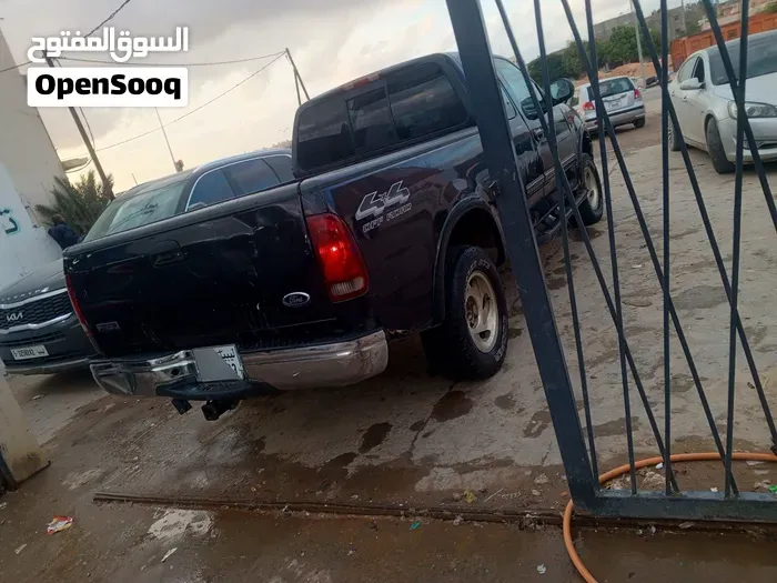 Ford F-150 2004 photo 3