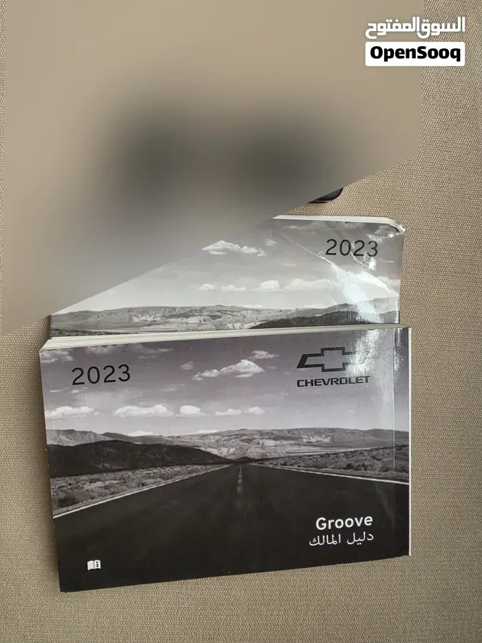 Chevrolet Groove
