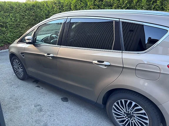 Ford S-Max 2019 photo 2