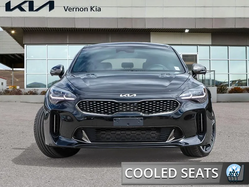 Kia Stinger 2023 photo 2
