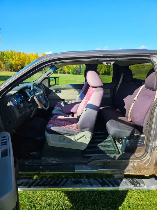 Ford F-150 2010 photo 4