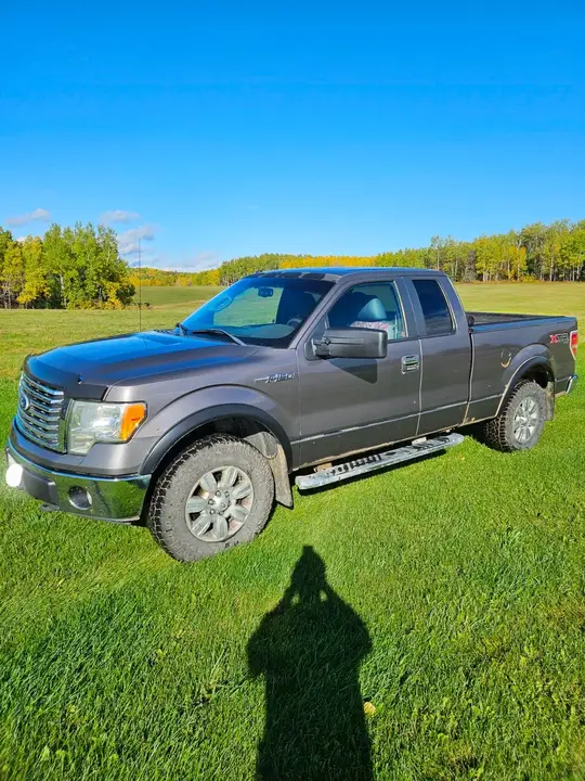 Ford F-150 2010 photo 3