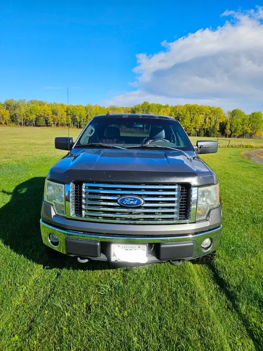 Ford F-150 2010 photo 2