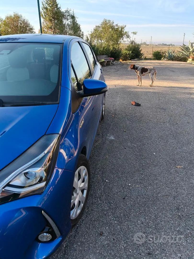 Toyota Yaris 2019 photo 3