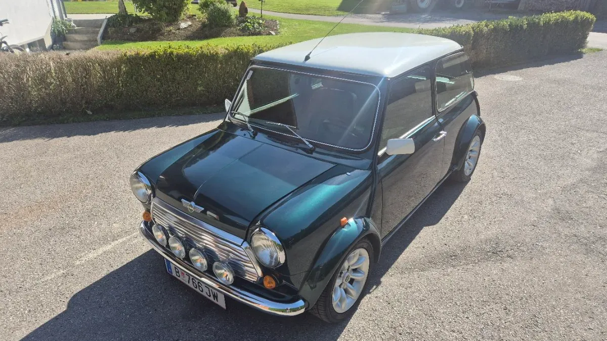 Mini Mini