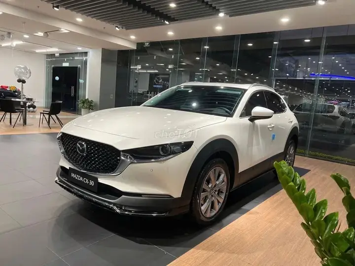 Mazda Cx-30 photo 3