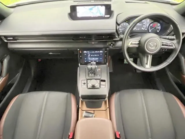 Mazda Mx-30 2021 photo 2