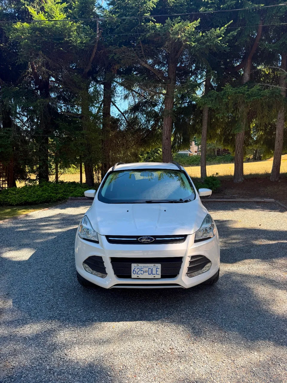 Ford Escape 2016 photo 2