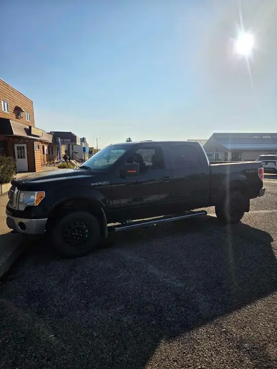 Ford F-150 2011 photo 4
