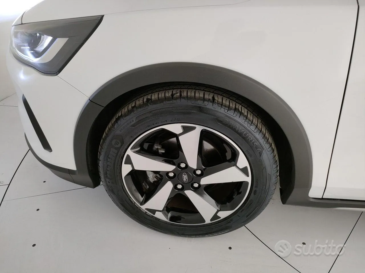 Ford Focus 2024 photo 5