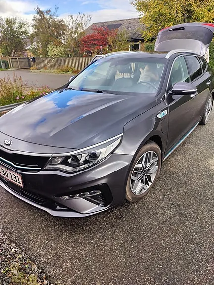 Kia Optima 2019 photo 3