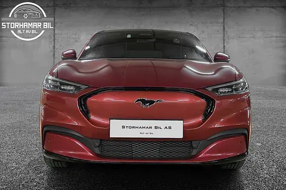 Ford Mustang Mach-E 2021 photo 3
