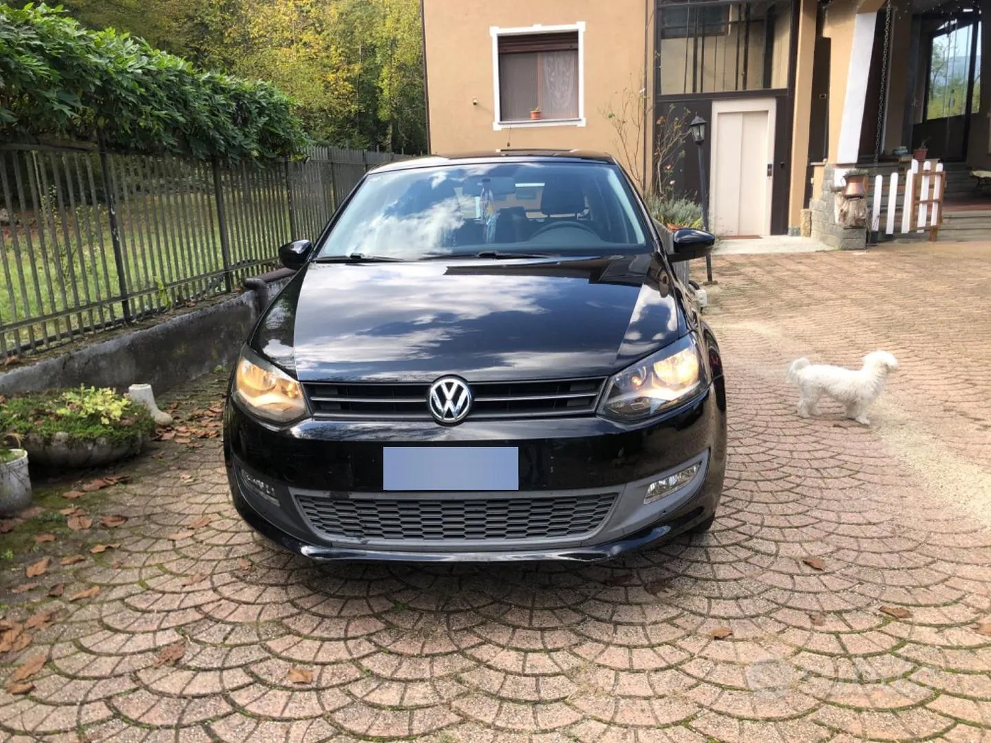 Volkswagen Polo 2010 photo 4