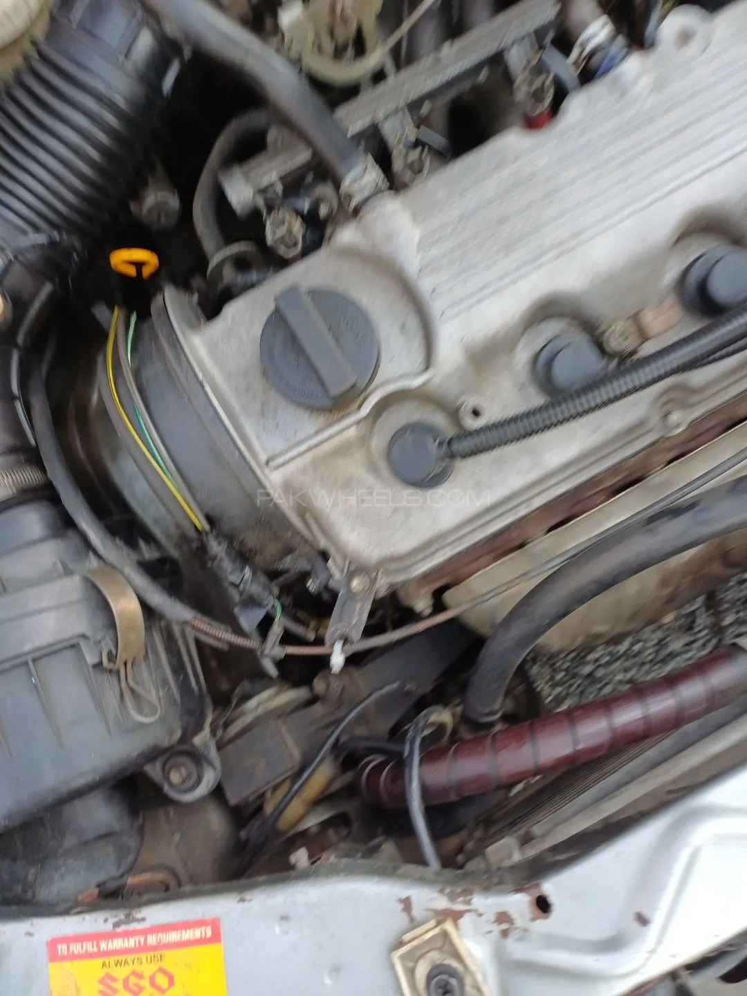 Suzuki Cultus