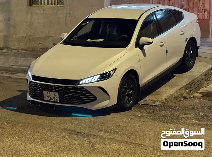 BYD Other 2025 photo 5