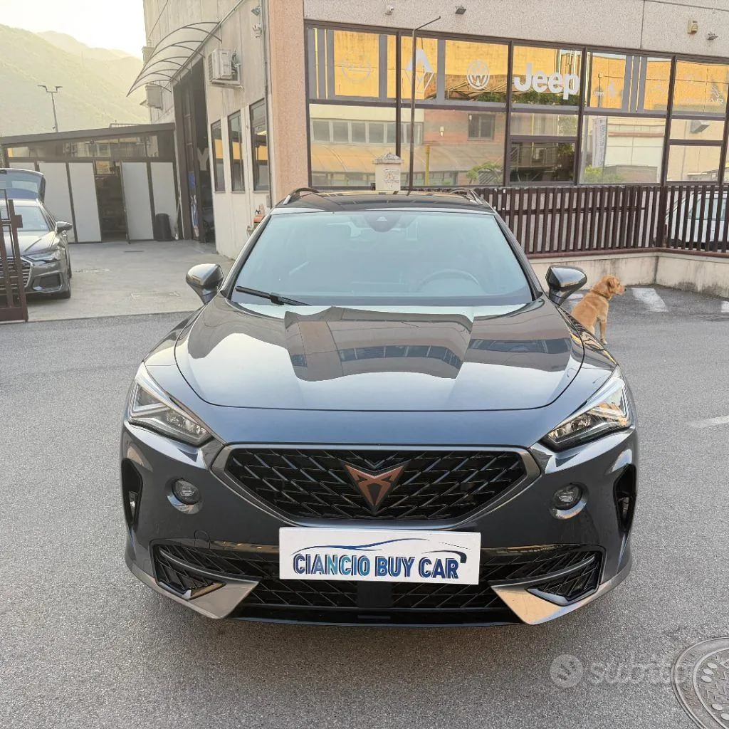 Cupra Formentor 2022 photo 5
