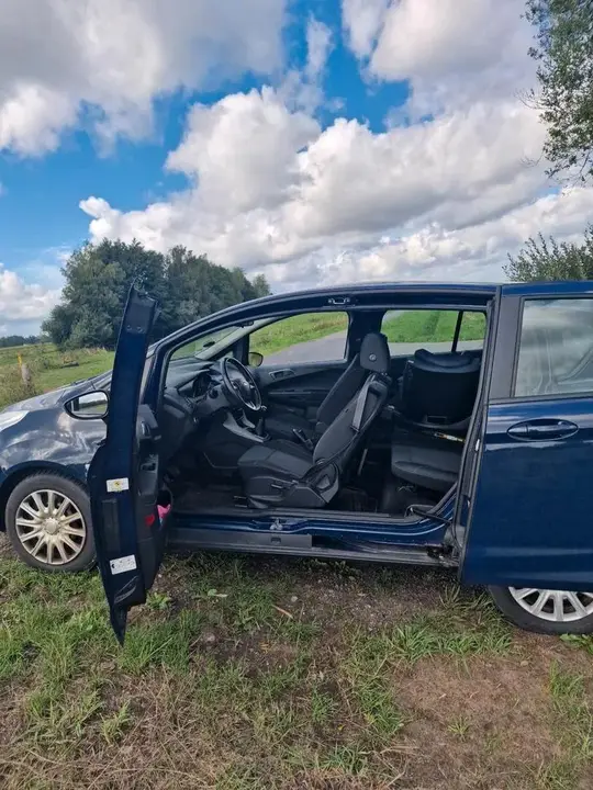 Ford B-Max