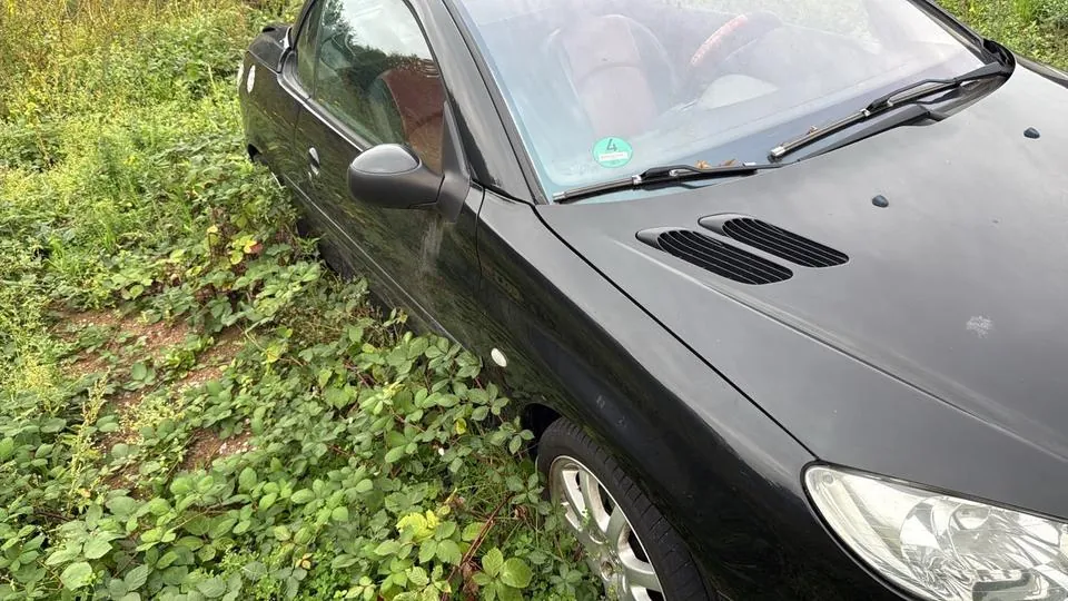 Peugeot 206 Cc