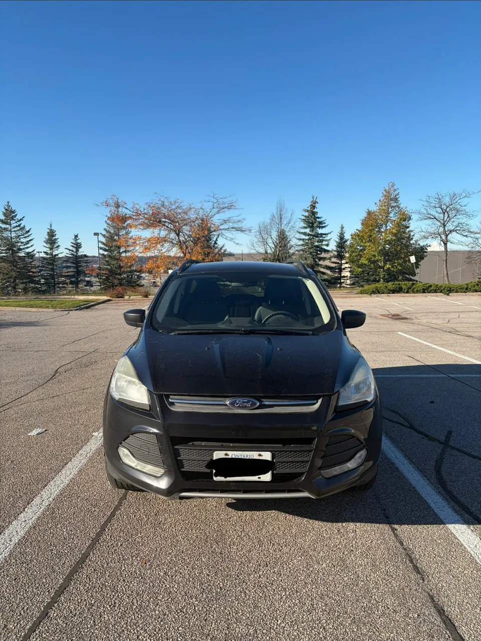 Ford Escape 2014 photo 3