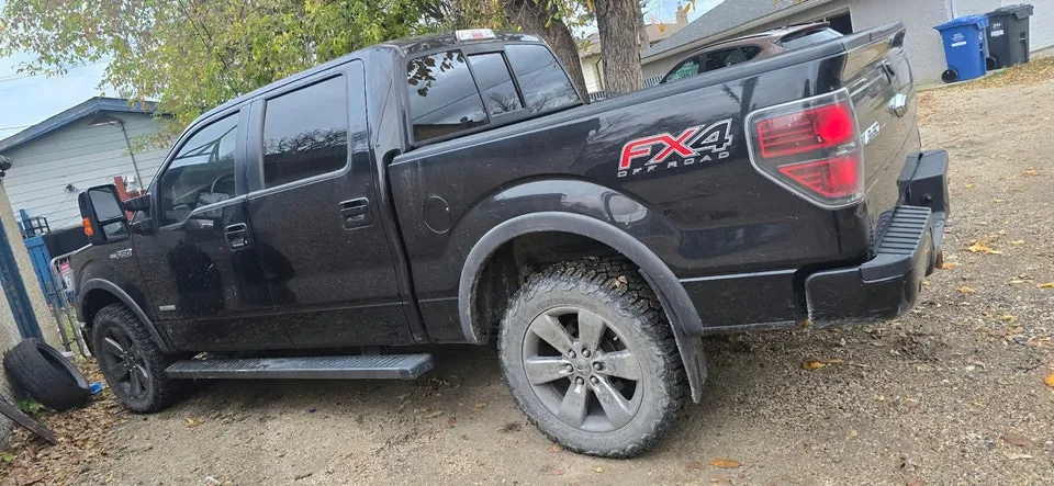 Ford F-150 2014 photo 2