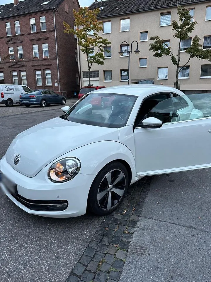 Volkswagen Beetle