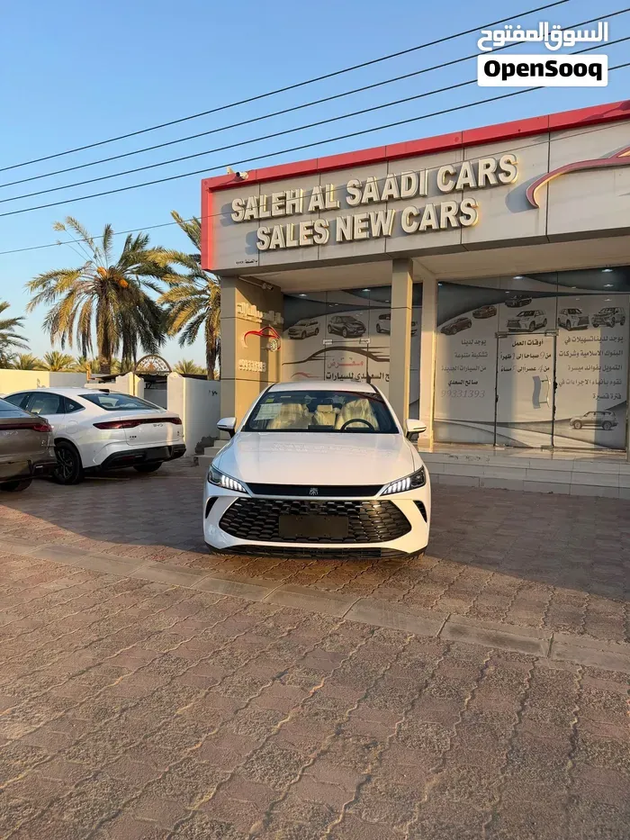 BYD Qin Plus 2025 photo 3