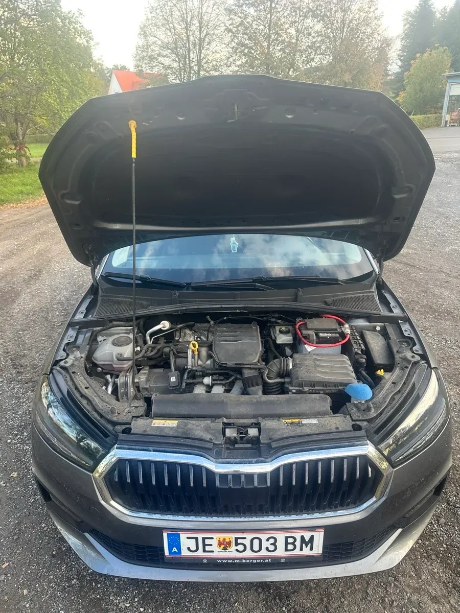 Skoda Fabia 2020 photo 2