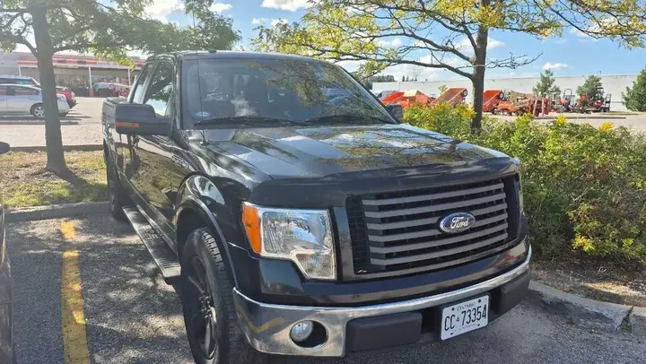 Ford F-150 2010 photo 2