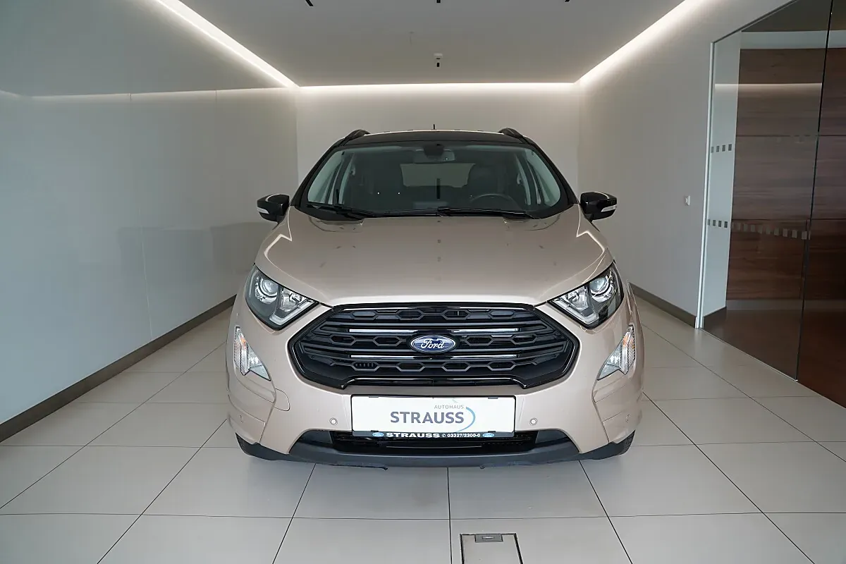 Ford Ecosport 2019 photo 2
