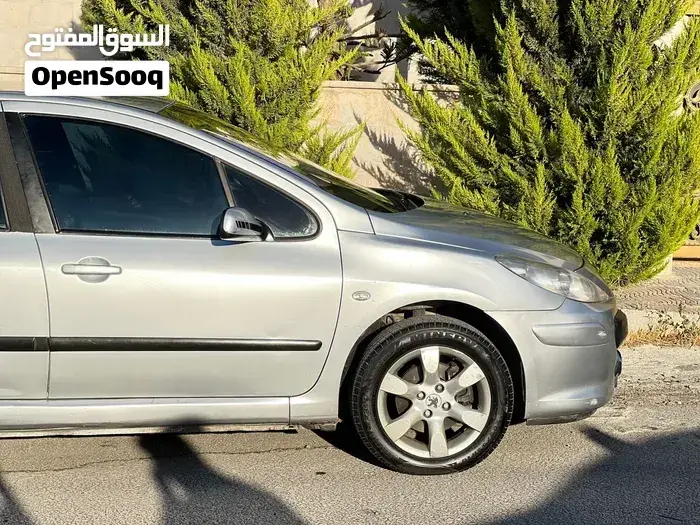 Peugeot 307 2007 photo 4