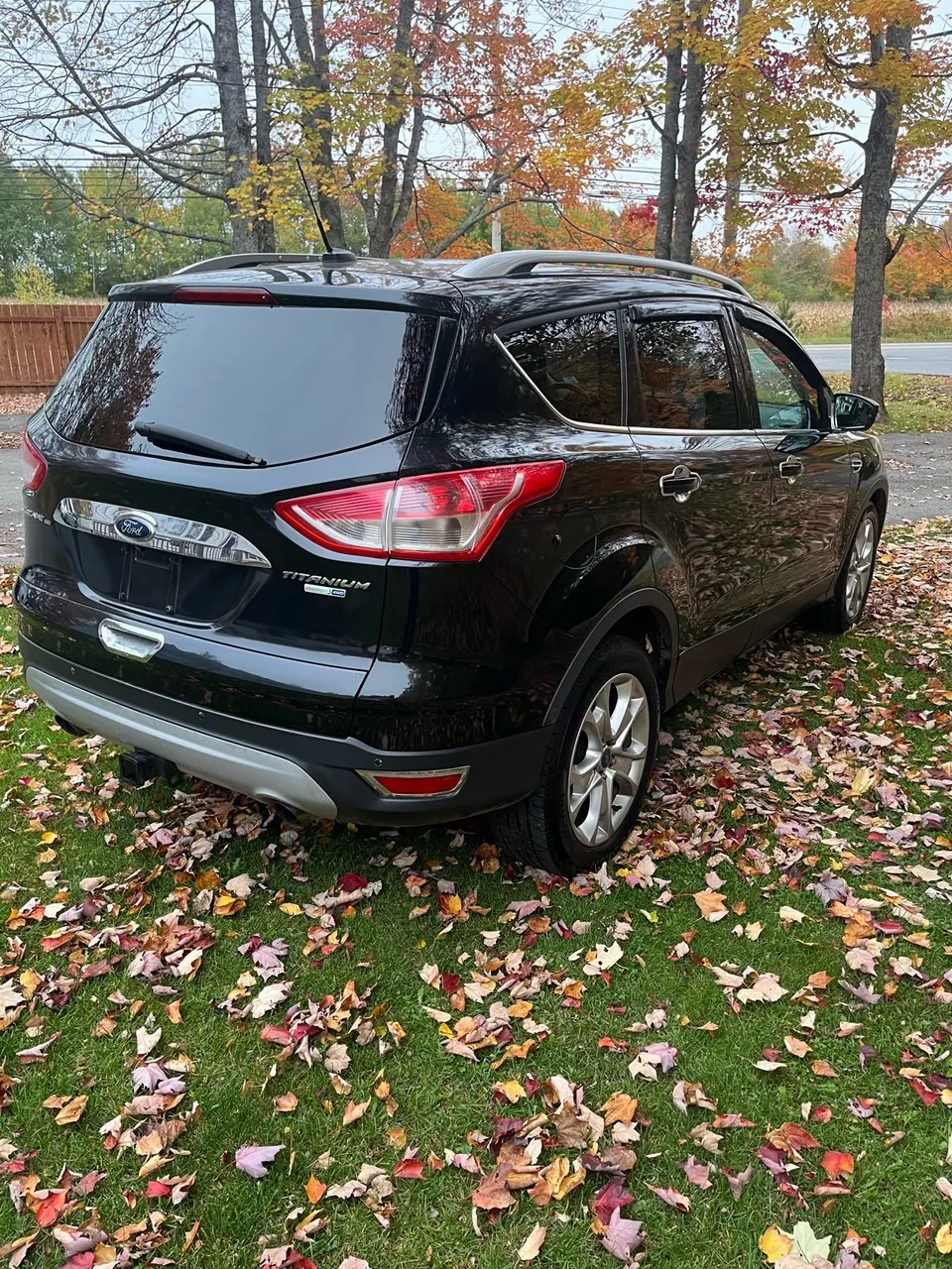 Ford Escape 2014 photo 3