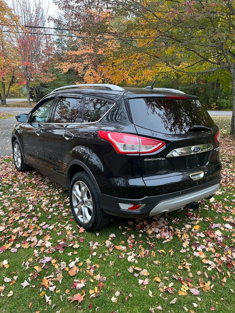 Ford Escape 2014 photo 4