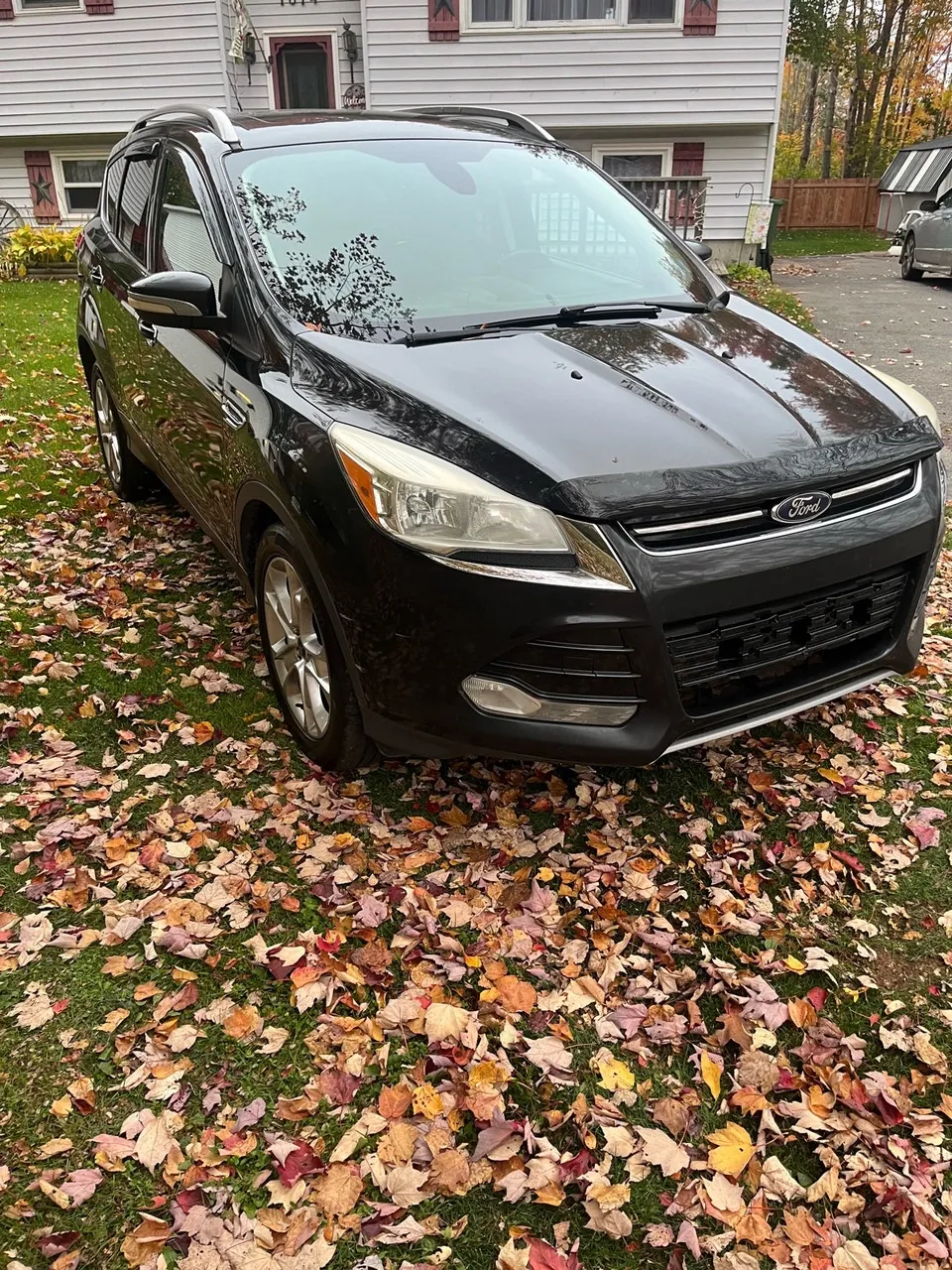Ford Escape 2014 photo 2