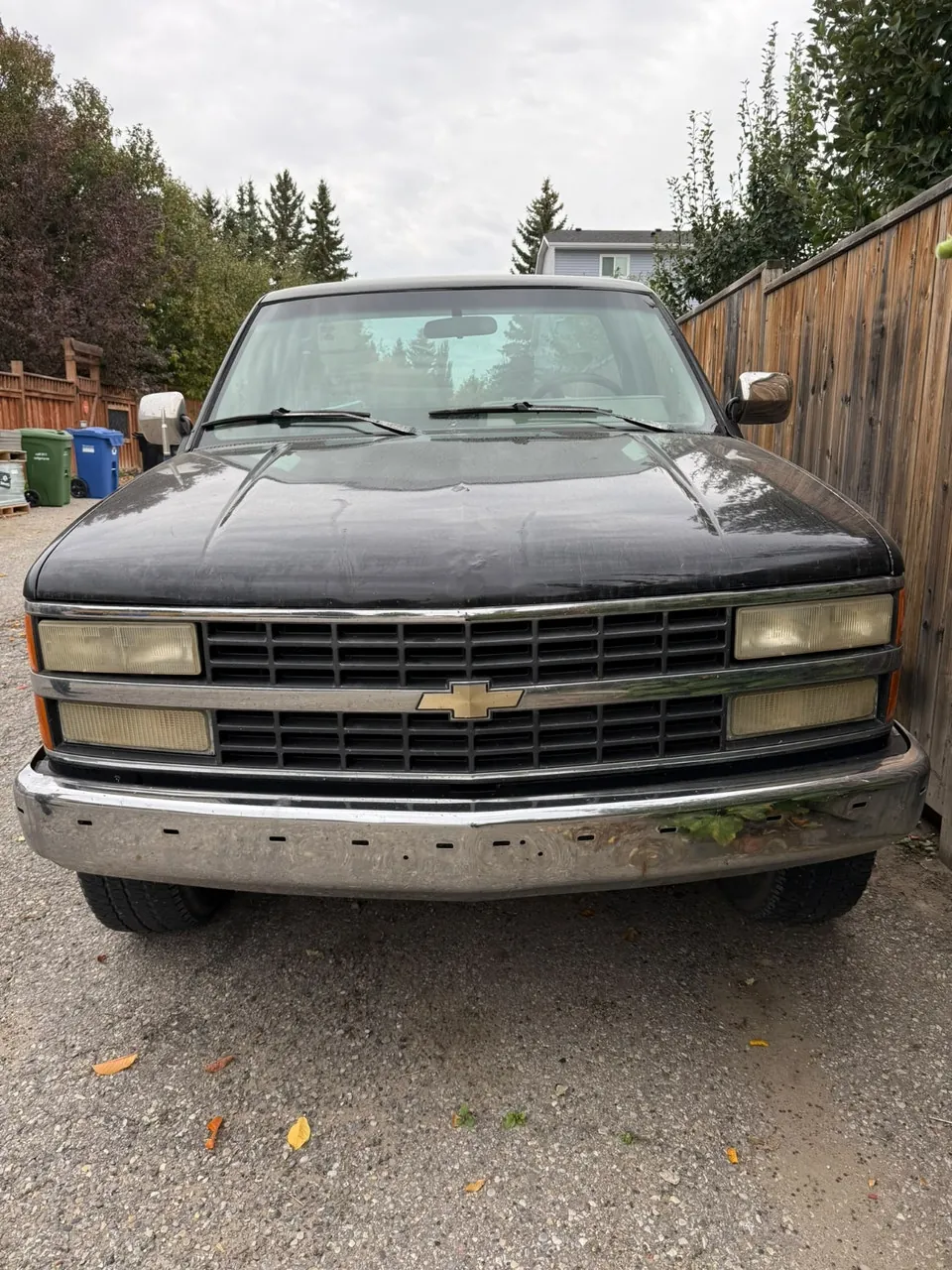 Chevrolet Regular Cab 1993 photo 2