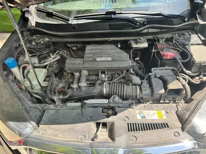 Honda Cr-V 2019 photo 3