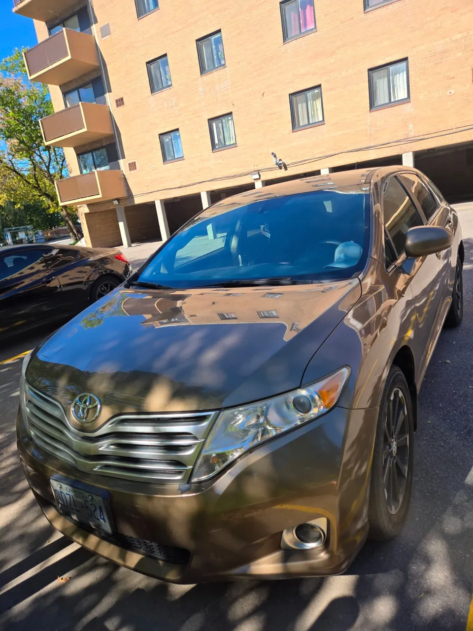 Toyota Venza 2011 photo 5