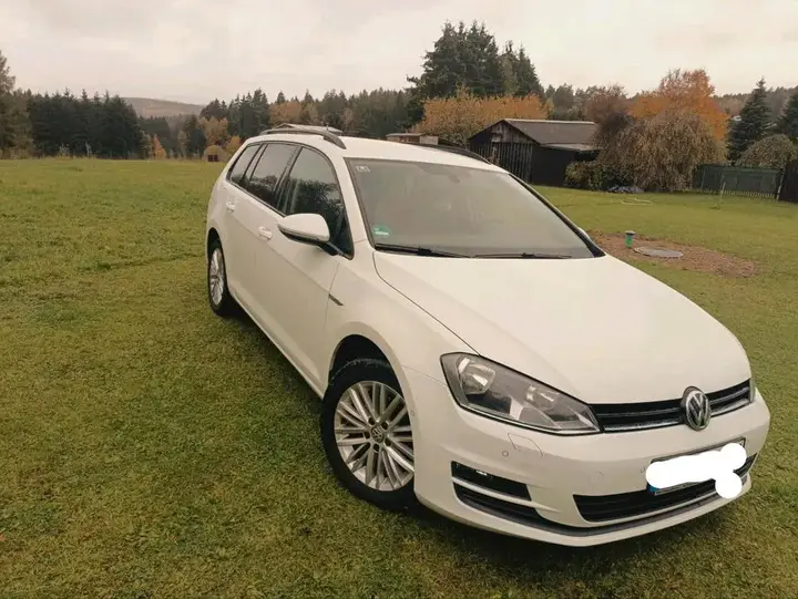Volkswagen Golf 7