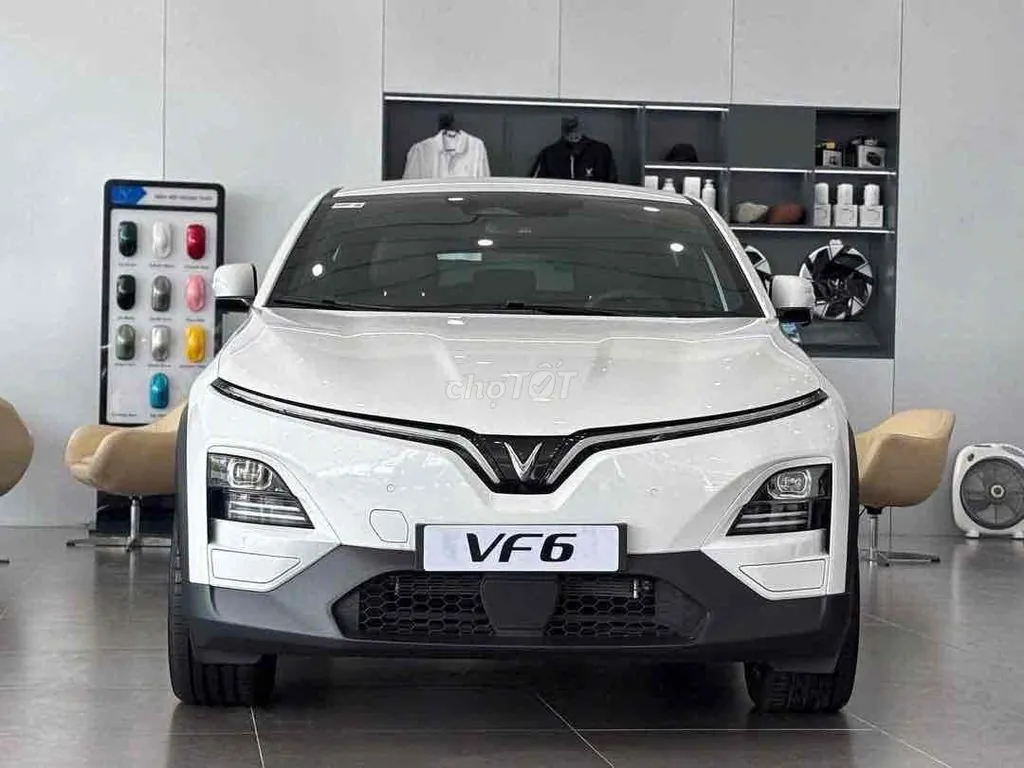 Vinfast Vf6